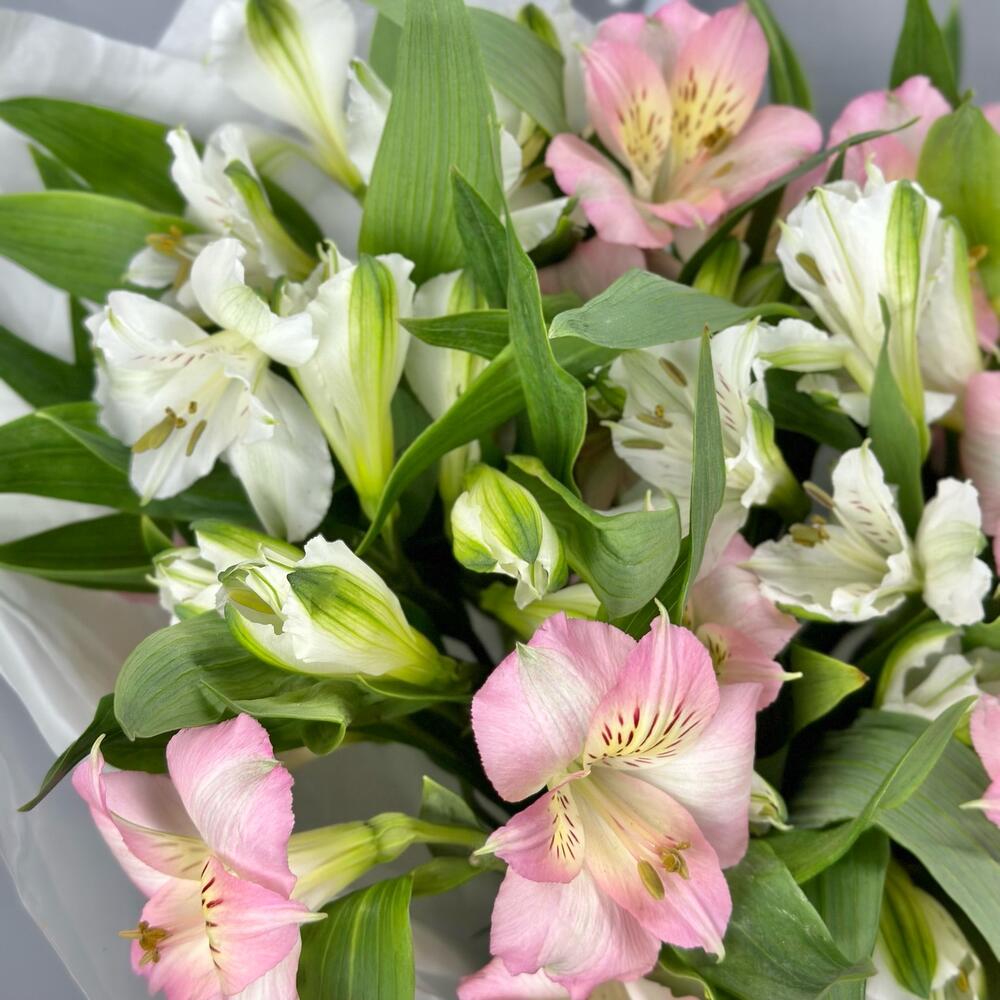 Букет «Нежность» – трогательное сочетание белых и розовых альстромерий Тюмень Тюменская область